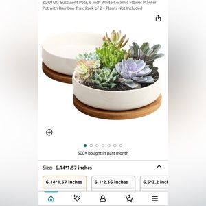 Succulent Pots, 6 inch White Ceramic Flower Planter Pot with Bamboo Tray